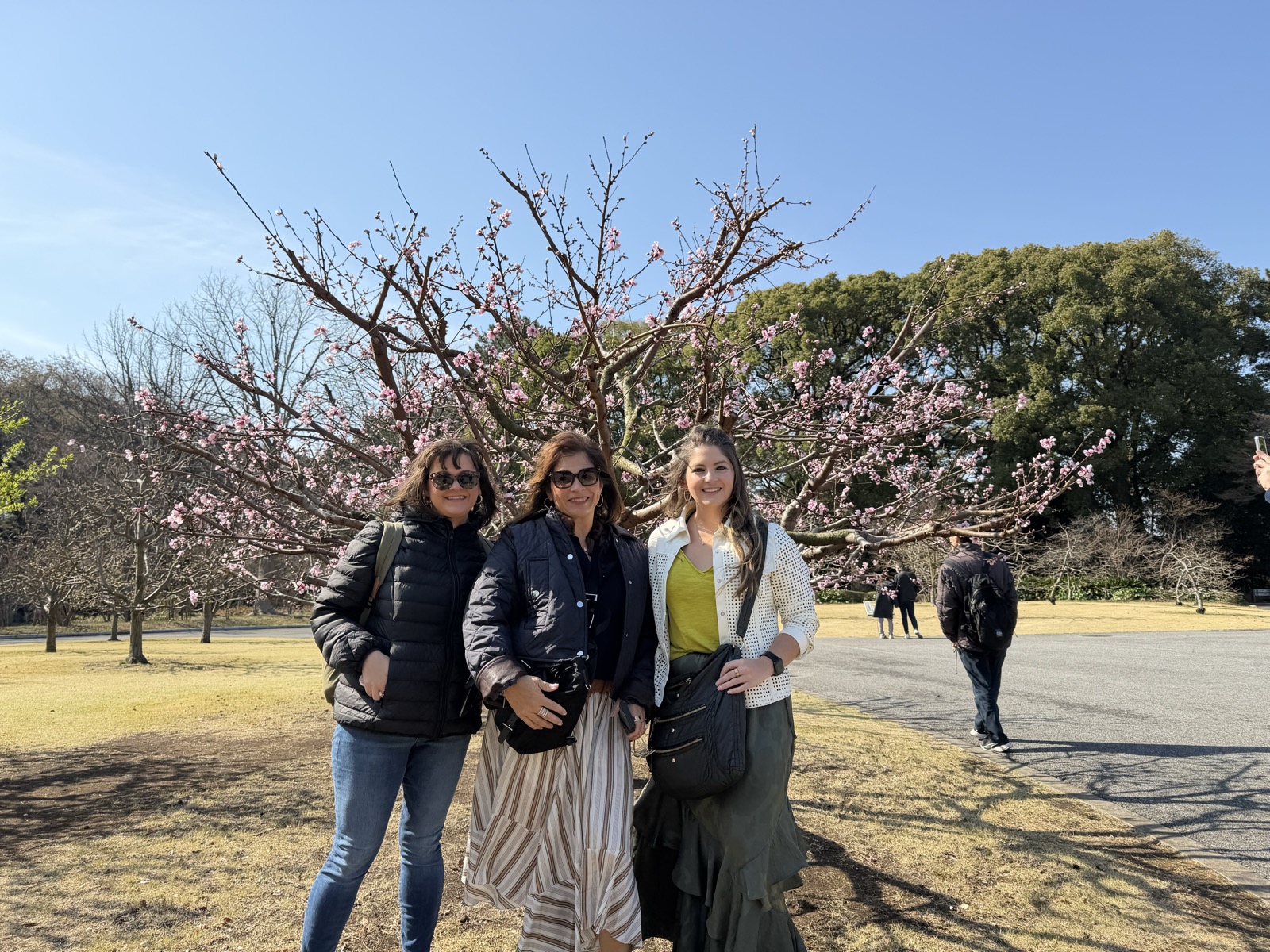 Cherry blossom season private tour at Imperial Palace Tokyo