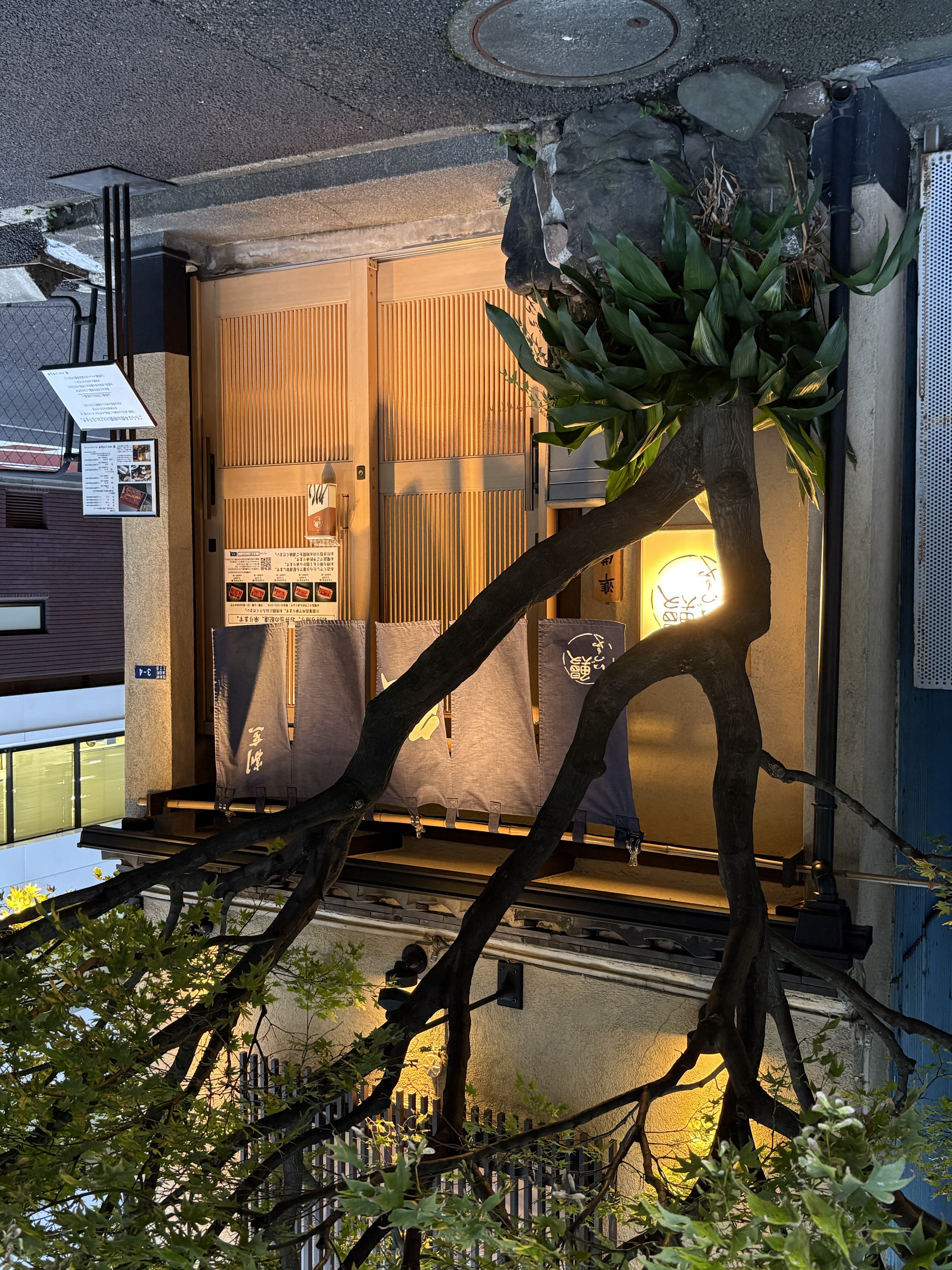 Hidden traditional izakaya entrance in Osaka — local food culture tour